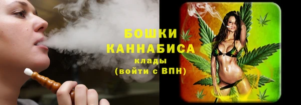 твердый Нягань