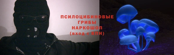 твердый Нягань