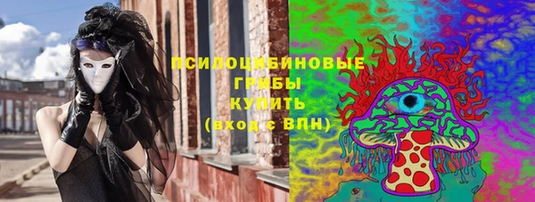 сатива Нязепетровск