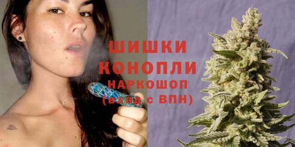сатива Нязепетровск