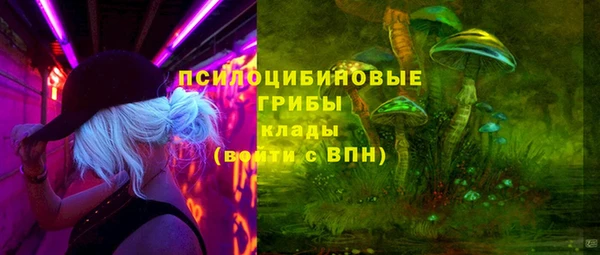 твердый Нягань