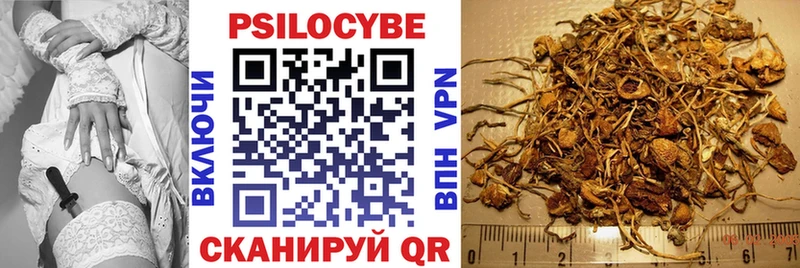 Галлюциногенные грибы Psilocybine cubensis  нарко площадка как зайти  Заполярный  купить  